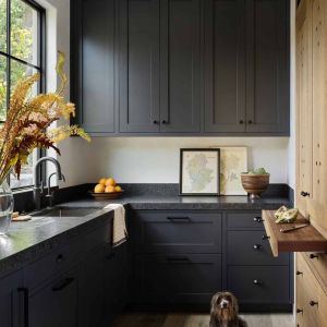 Black Inset Kitchen 1