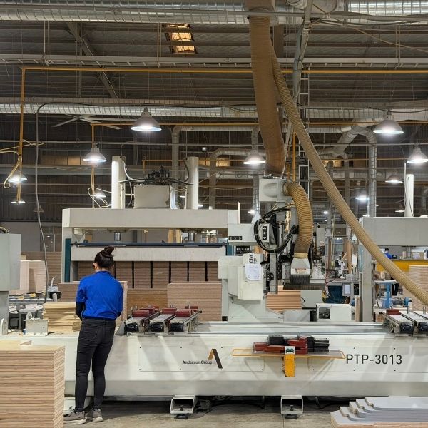 Vietnam Cabinet Factory Overview